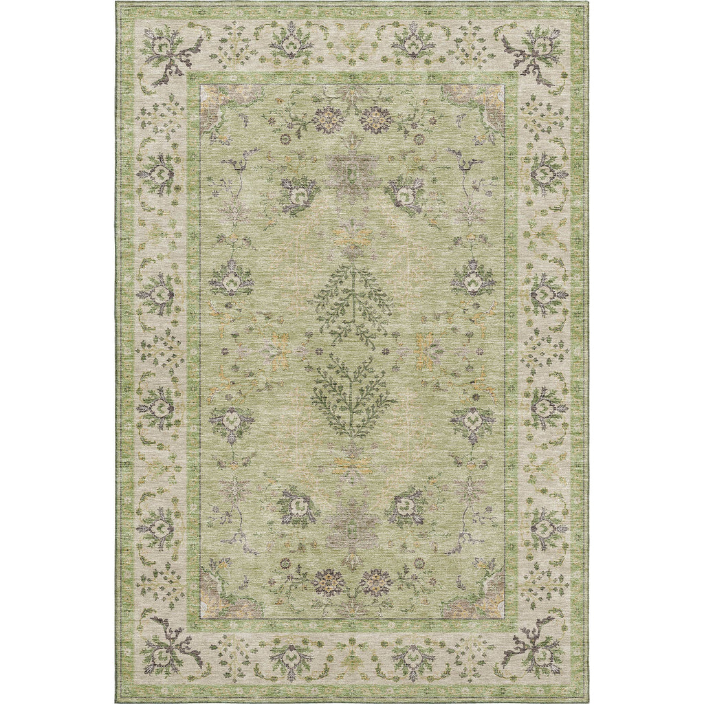 Hatay HY9 Aloe 20"x30"